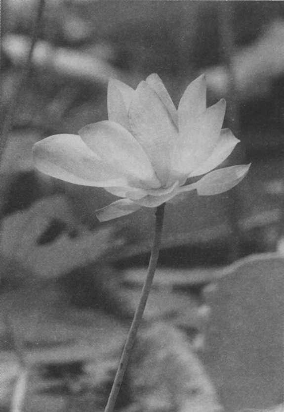 Untitled0 - 0004-1.jpg